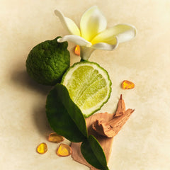 Skin Perfecting Body Lotion P1